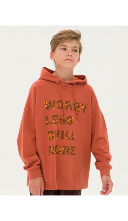 Толстовка для мальчиков Медный(26)