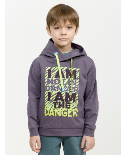 Толстовка для мальчиков Серый(40)