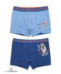 Трусы для мальчиков Голубой/синий(9/41)