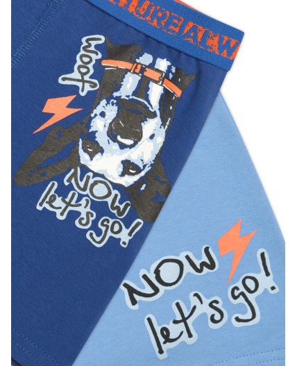 Трусы для мальчиков Голубой/синий(9/41)