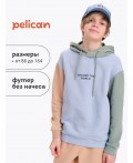 Толстовка для мальчиков Лед(22)