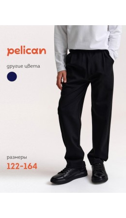 Брюки для мальчиков Черный(49)