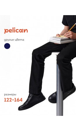 Брюки для мальчиков Черный(49)