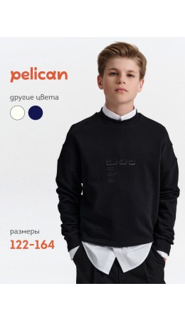 Толстовка для мальчиков Черный(49)