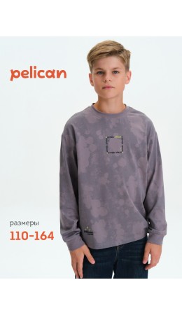 Джемпер для мальчиков Серый(40)