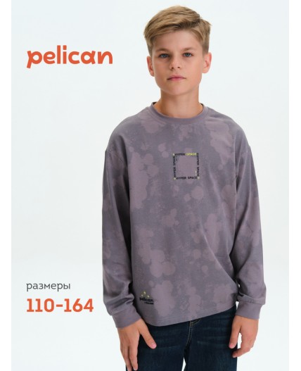 Джемпер для мальчиков Серый(40)