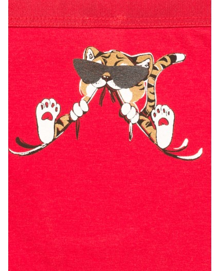 Трусы для девочек Красный/темно-серый/белый(18/43/2)