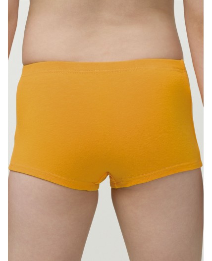 Трусы для девочек Красный/оранжевый(18/31)