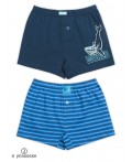 Трусы для мальчиков Темно-синий/синий(54/41)
