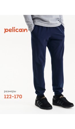 Брюки для мальчиков Синий(41)