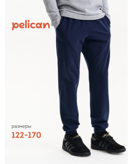Брюки для мальчиков Синий(41)