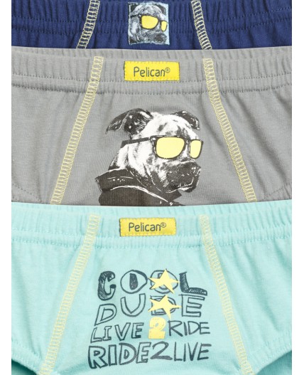 Трусы для мальчиков Лазурный/серый/темно-синий(21/40/54)