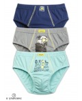 Трусы для мальчиков Лазурный/серый/темно-синий(21/40/54)