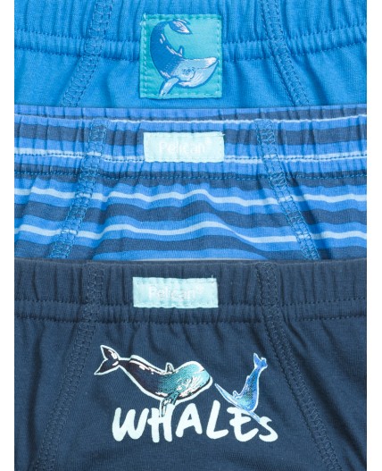 Трусы для мальчиков Синий/синий/темно-синий(41/41/54)