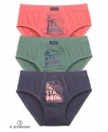Трусы для мальчиков Терракотовый/хаки/темно-серый(44/47/43)