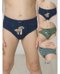 Трусы для мальчиков Лед/хаки/джинс(22/47/10)