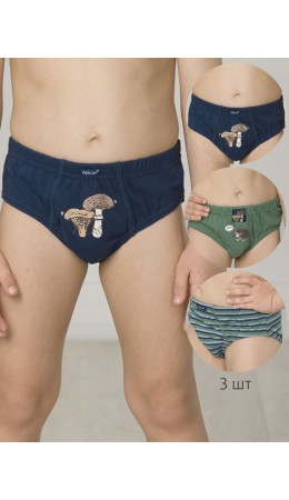 Трусы для мальчиков Лед/хаки/джинс(22/47/10)