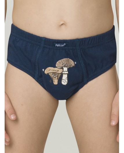 Трусы для мальчиков Лед/хаки/джинс(22/47/10)