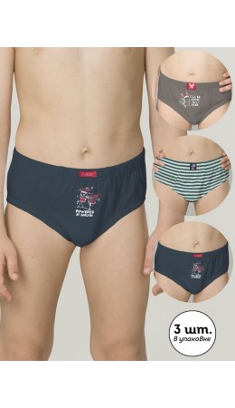 Трусы для мальчиков Темно-синий/серый/темносерый(54/40/43)
