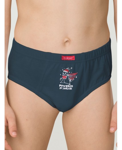 Трусы для мальчиков Темно-синий/серый/темносерый(54/40/43)