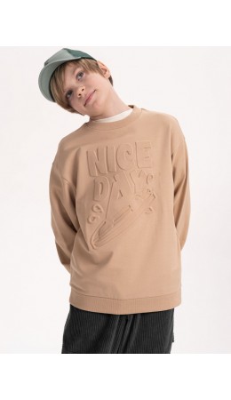 Толстовка для мальчиков Песочный(34)