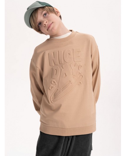 Толстовка для мальчиков Песочный(34)