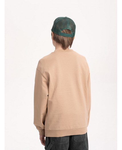 Толстовка для мальчиков Песочный(34)