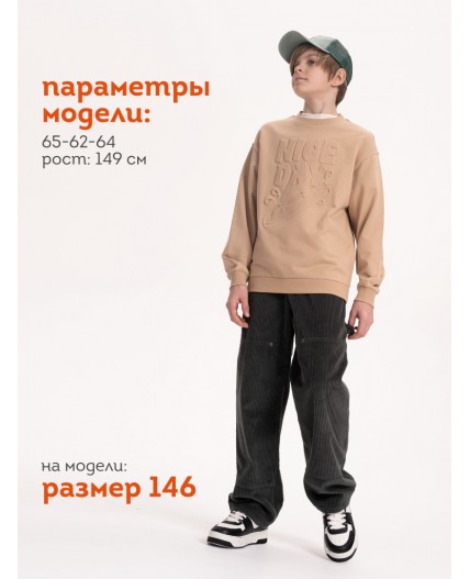 Толстовка для мальчиков Песочный(34)