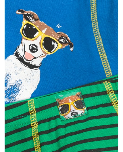 Трусы для мальчиков Синий/зеленый(41/12)