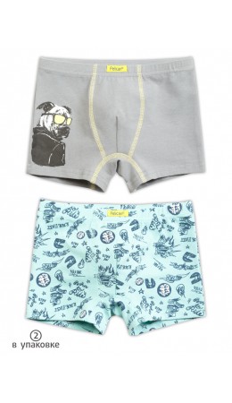 Трусы для мальчиков Серый/лазурный(40/21)