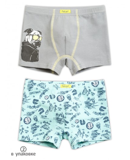 Трусы для мальчиков Серый/лазурный(40/21)