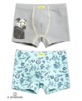 Трусы для мальчиков Серый/лазурный(40/21)