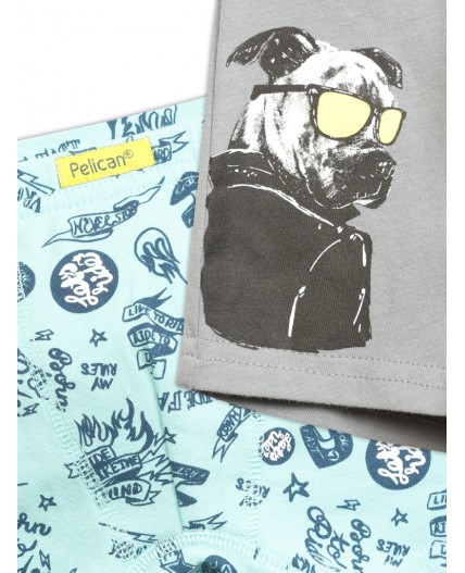 Трусы для мальчиков Серый/лазурный(40/21)