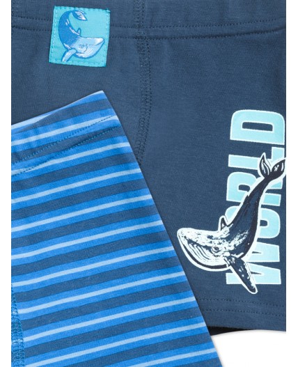 Трусы для мальчиков Темно-синий/синий(54/41)