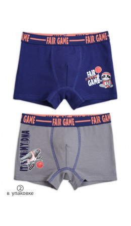 Трусы для мальчиков Темно-синий/серый(54/40)