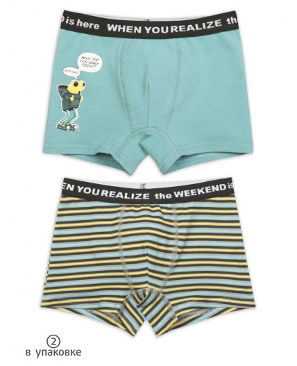 Трусы для мальчиков Серый/серый(40/40)