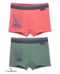 Трусы для мальчиков Терракотовый/хаки(43/47)