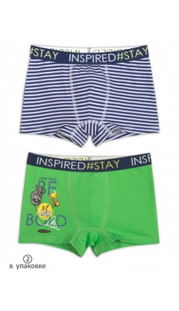 Трусы для мальчиков Серый/салатовый(40/38)