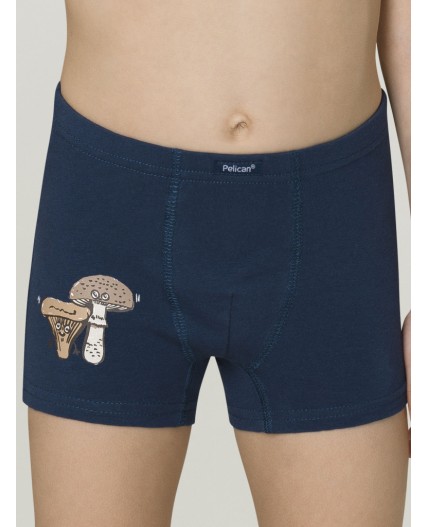 Трусы для мальчиков Хаки/джинс(47/10)