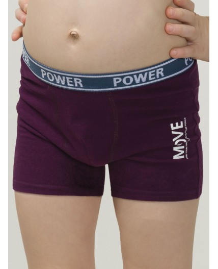 Трусы для мальчиков Черника/хаки(48/47)