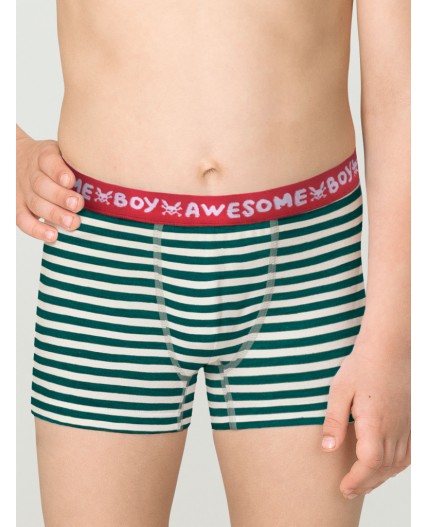 Трусы для мальчиков Серый/темно-синий(40/54)