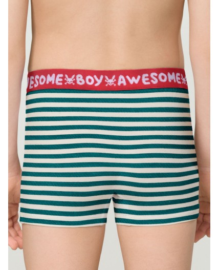 Трусы для мальчиков Серый/темно-синий(40/54)