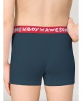 Трусы для мальчиков Серый/темно-синий(40/54)