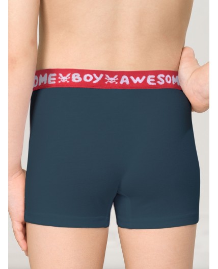 Трусы для мальчиков Серый/темно-синий(40/54)