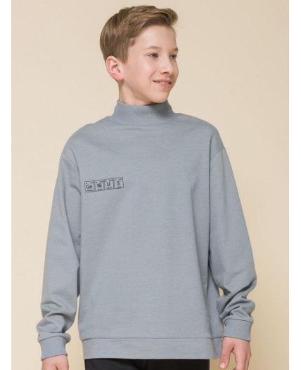 Толстовка для мальчиков Серый(40)