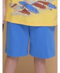 Шорты для мальчика Голубой(9)
