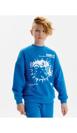 Толстовка для мальчиков Лазурный(21)