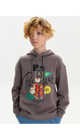 Толстовка для мальчиков Серый(40)