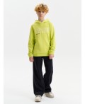 Толстовка для мальчиков Яблочный(51)