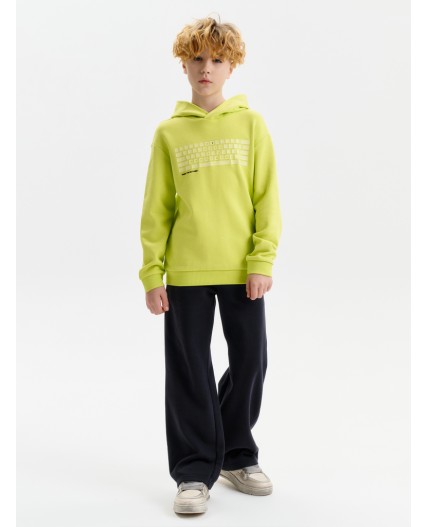 Толстовка для мальчиков Яблочный(51)